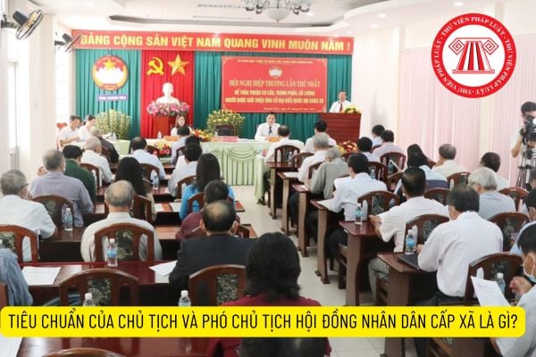 tiêu chuẩn của chủ tịch hội đồng nhân dân cấp xã và phó chủ tịch hội đồng nhân dân cấp xã