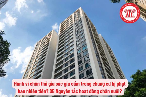 Pháp luật