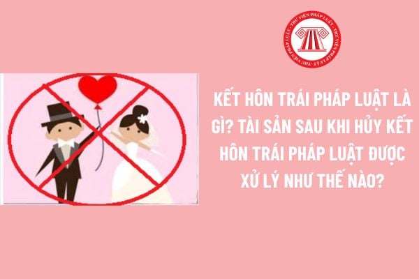 Pháp luật