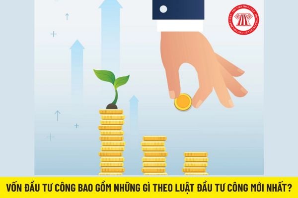 Pháp luật