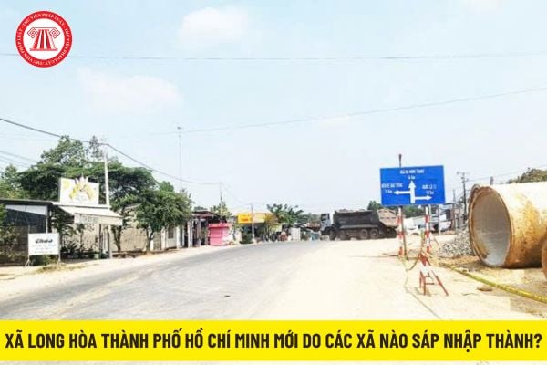 Pháp luật
