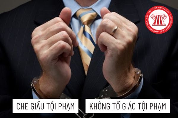 Pháp luật