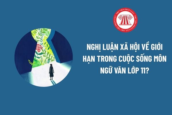 Pháp luật