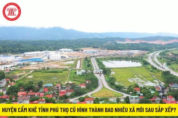 Pháp luật