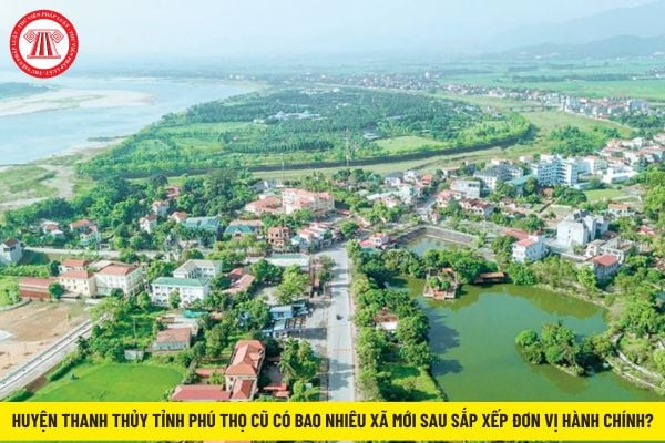 Pháp luật
