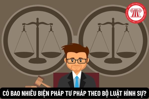 Pháp luật