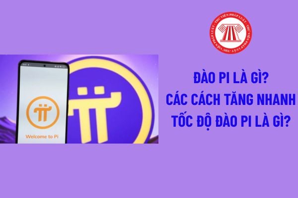 Pháp luật
