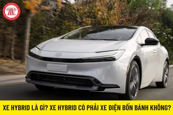Pháp luật