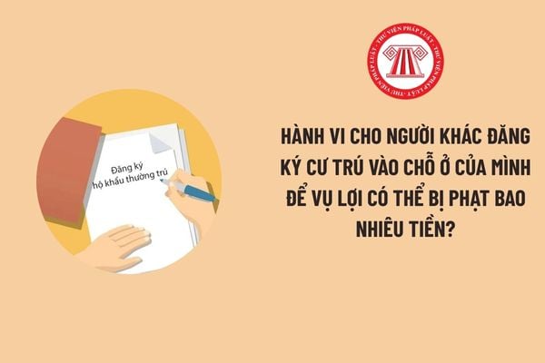 Pháp luật