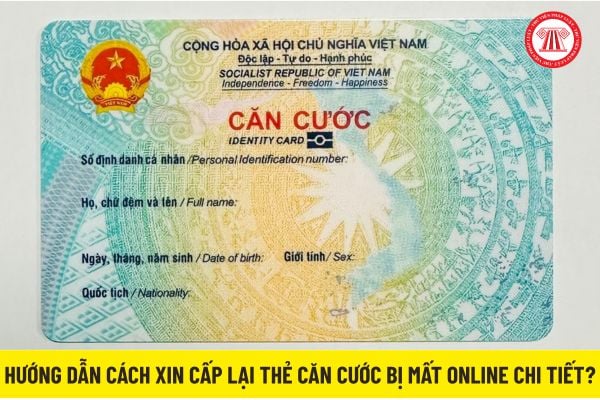 Pháp luật