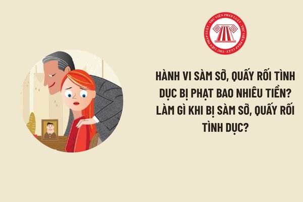 Hành vi sàm sỡ, quấy rối tình dục bị phạt bao nhiêu tiền? Làm gì khi bị sàm sỡ, quấy rối tình dục?