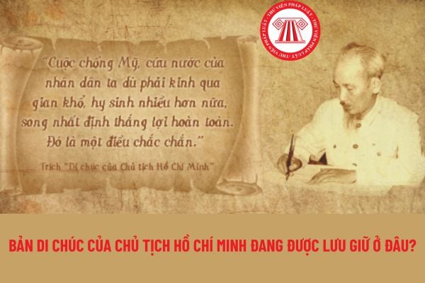 Pháp luật