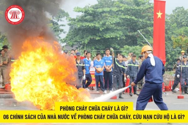 Pháp luật
