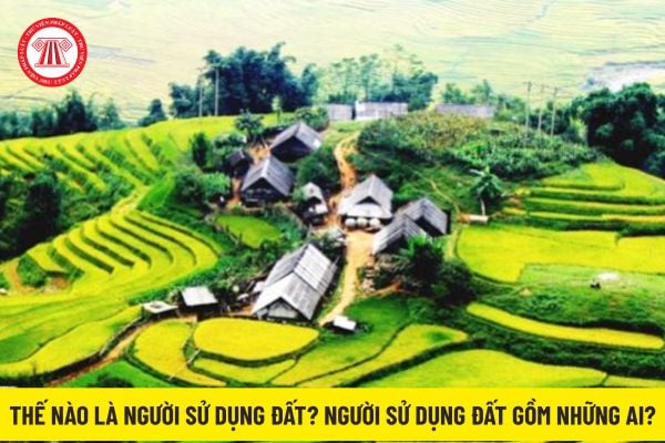 Pháp luật