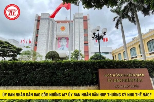 Pháp luật
