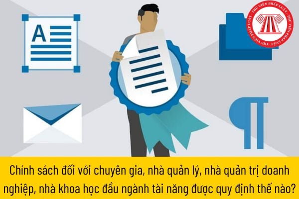 Chính sách đối với chuyên gia, nhà quản lý, nhà quản trị doanh nghiệp, nhà khoa học đầu ngành tài năng