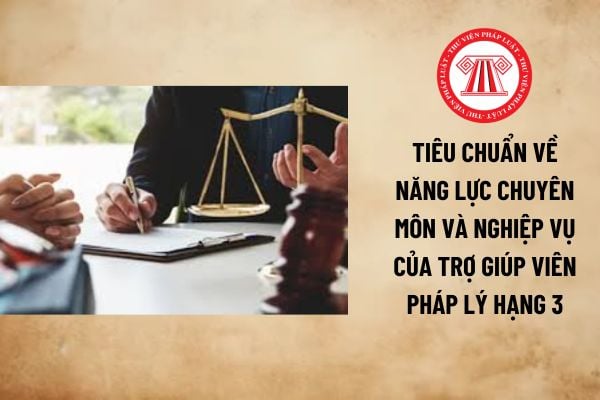 Năng lực chuyên môn và nghiệp vụ của thực tập sinh pháp lý hạng 3