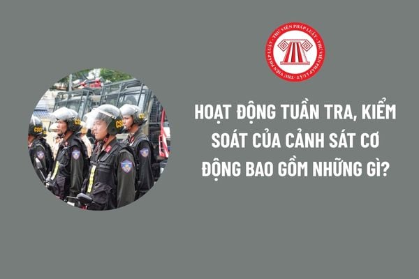 Pháp luật