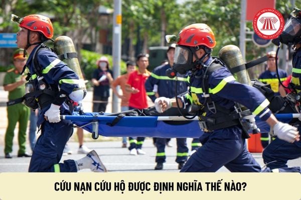 Pháp luật