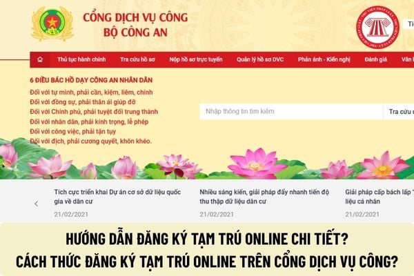 Pháp luật