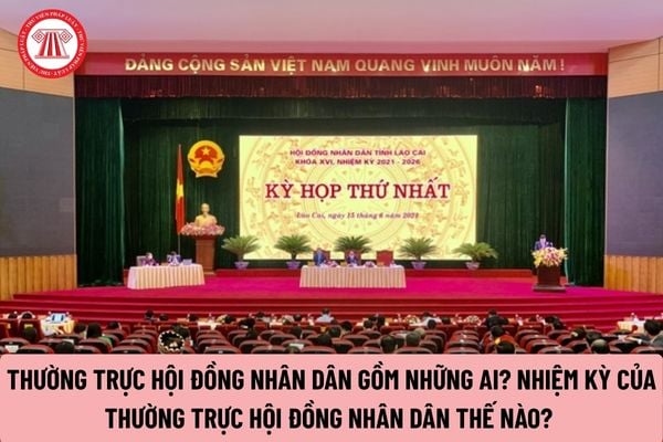 Pháp luật