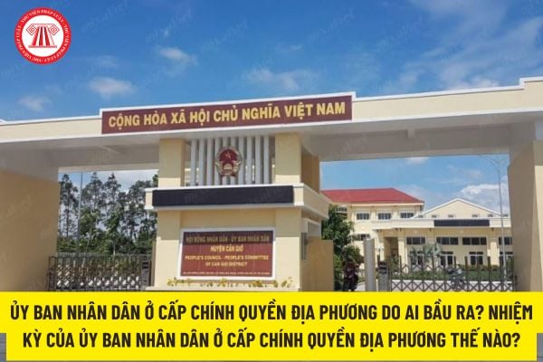 Pháp luật