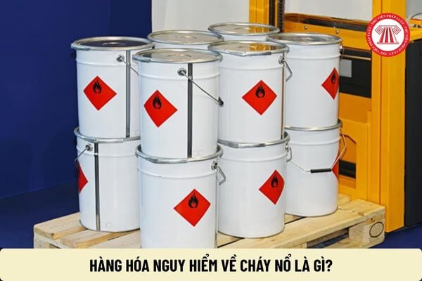 Pháp luật