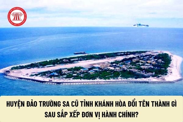 Pháp luật