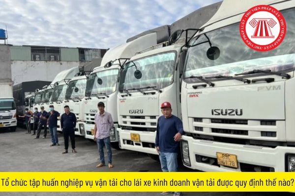 Tổ chức tập huấn nghiệp vụ vận tải cho lái xe kinh doanh vận tải