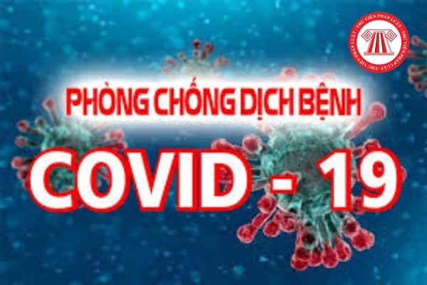 Pháp luật