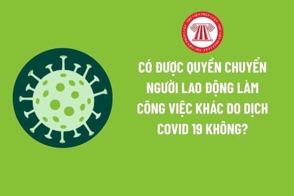 Pháp luật