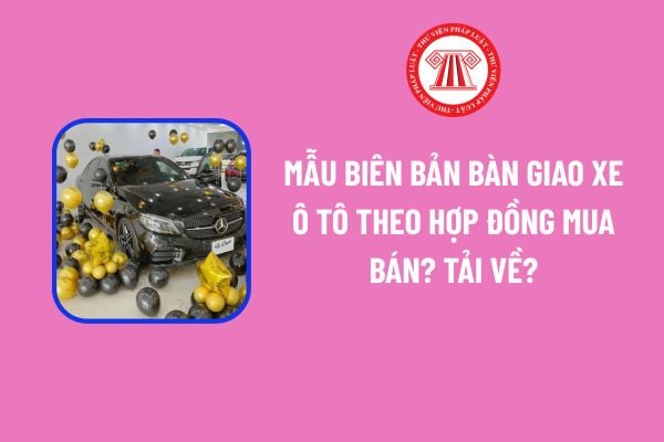 Pháp luật