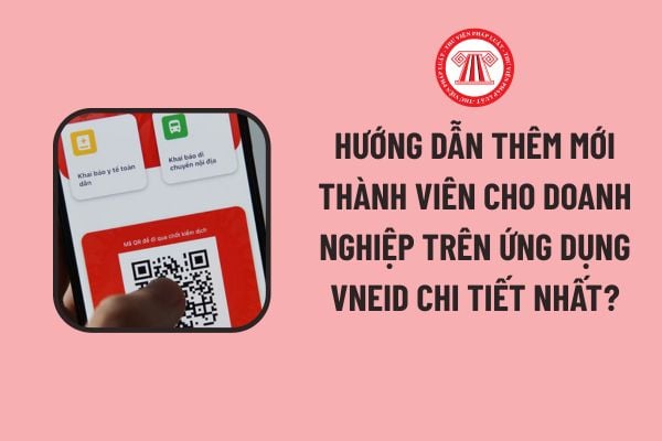 Pháp luật