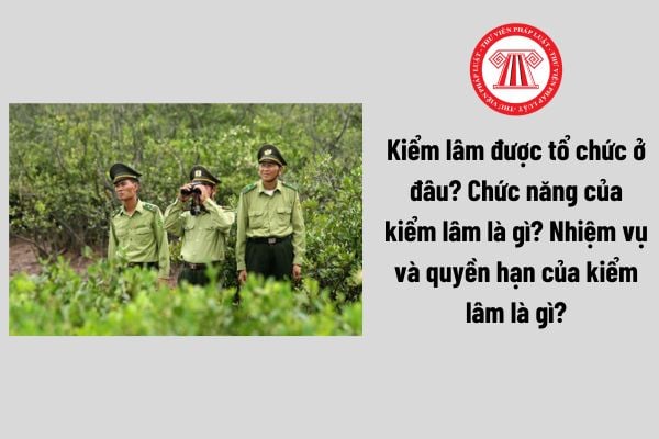 Pháp luật