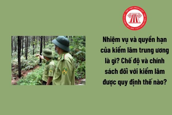 Nhiệm vụ và quyền hạn của kiểm lâm trung ương là gì? Chế độ và chính sách đối với kiểm lâm?