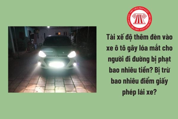 Pháp luật