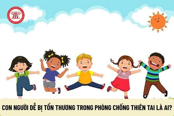 Pháp luật