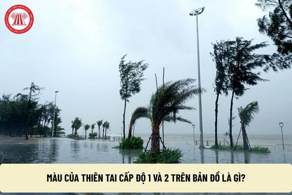 Pháp luật