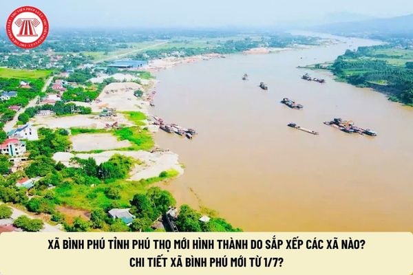 Pháp luật