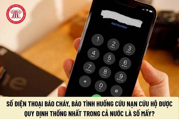 Pháp luật