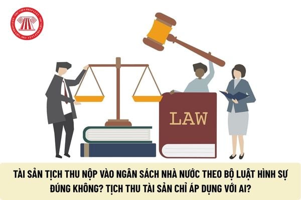 Pháp luật