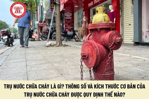 Pháp luật