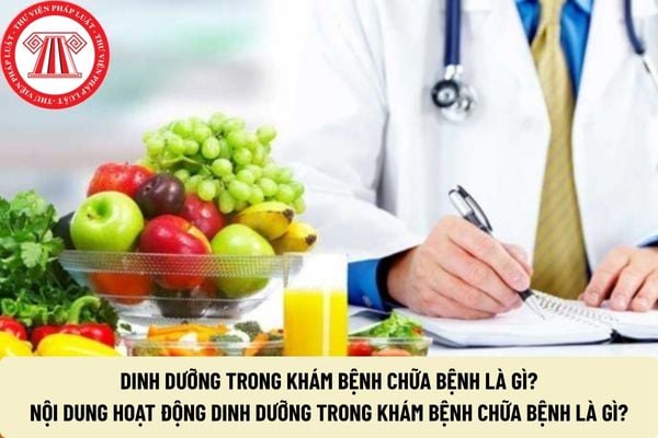 Pháp luật