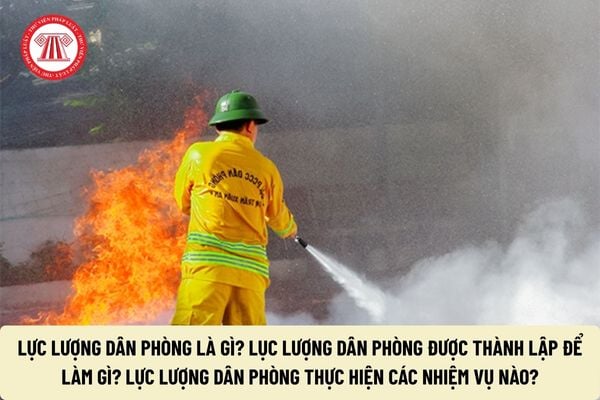 Pháp luật