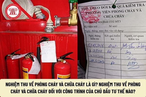Pháp luật