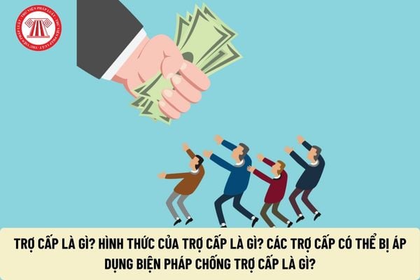 Pháp luật