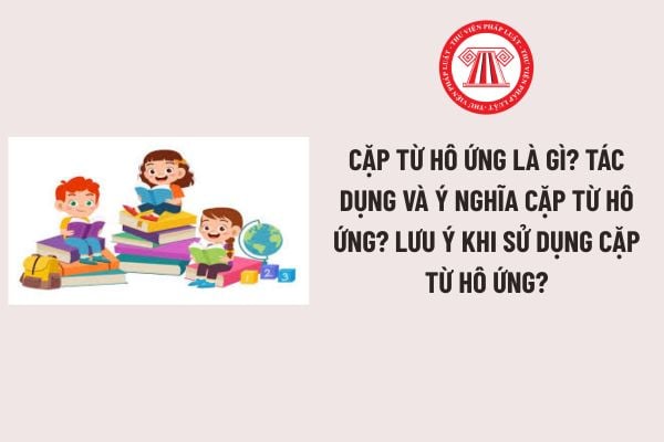 Pháp luật