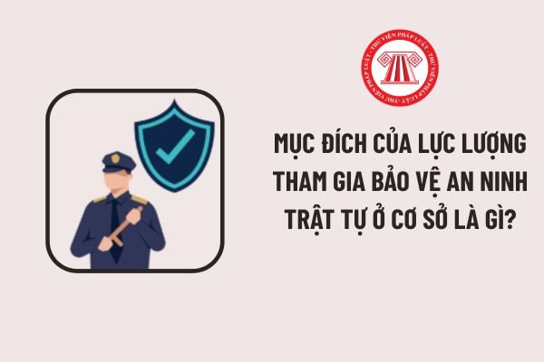 Pháp luật