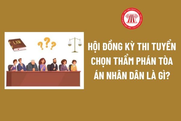 Pháp luật