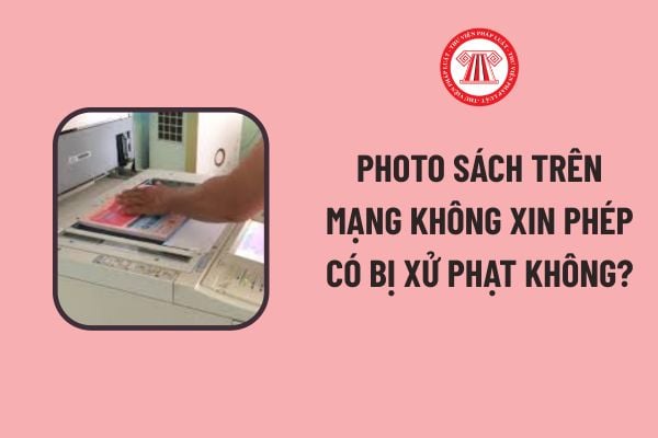 Pháp luật